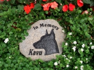 In memory of Kavu, the Doberman pinscher