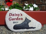 A memory stone for the German Shepherd "Daisy"to go in the garden