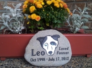 Leo's pet memory stone