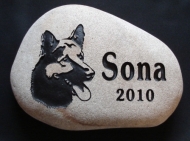 A picture of a German Shepherd helps remember "Sona"