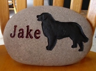 Jake's pet memory stone