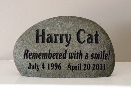 Harry the cat remember on the stone