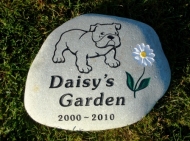 Bulldog garden stone with Daisy flower