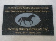 Polished granite Memory plaque in honor of Ivy, the horse