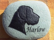 Harlow's memory stone for the garden