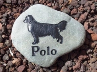 A garden stone for Polo Golden retriever