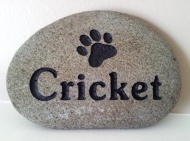 A paw print in the stone to remember cricket