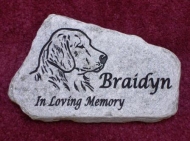 In loving memory for the dog Braidyn