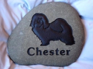 Chester's memory, engraved in stone