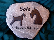 Solo the champion Schnauzer, engraved in a stone for the garden