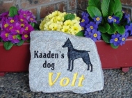 Kaaden's dog Volt
