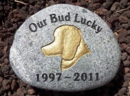 Remembering Lucky, the poodle