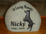 In loving memory for Nicky, the Jack Russell