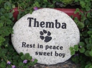 copy-of-stones-004Rest in peace, Themba with paw print in stone