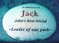 Jack - the leader of our pack