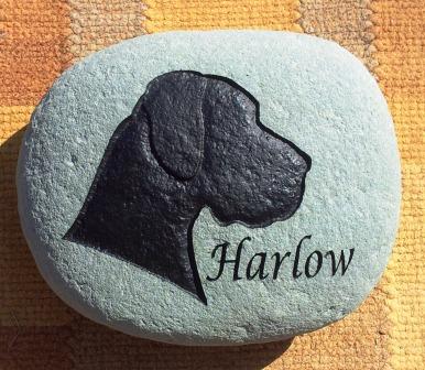 Harlow's memory stone for the garden