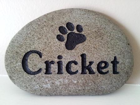 A paw print in the stone to remember cricket