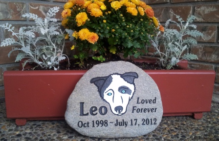 Leo's pet memory stone