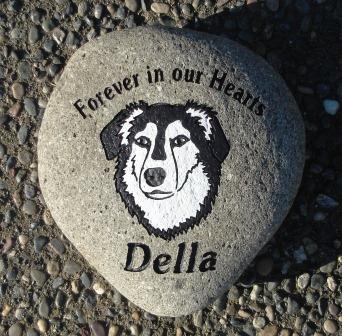 Border collie "Della" forever in our hearts