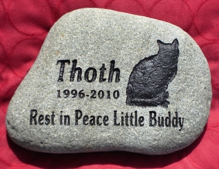 Garden stone to remember Thoth, the cat