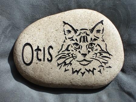 Otis the cat River rock