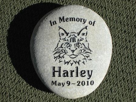 Harley's memory stone for the garden