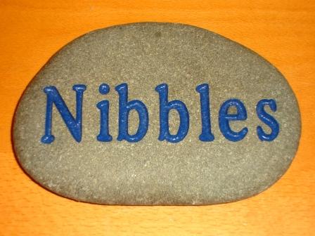 Nibbles memory stone
